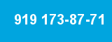 919 173-87-71 919 173-87-71